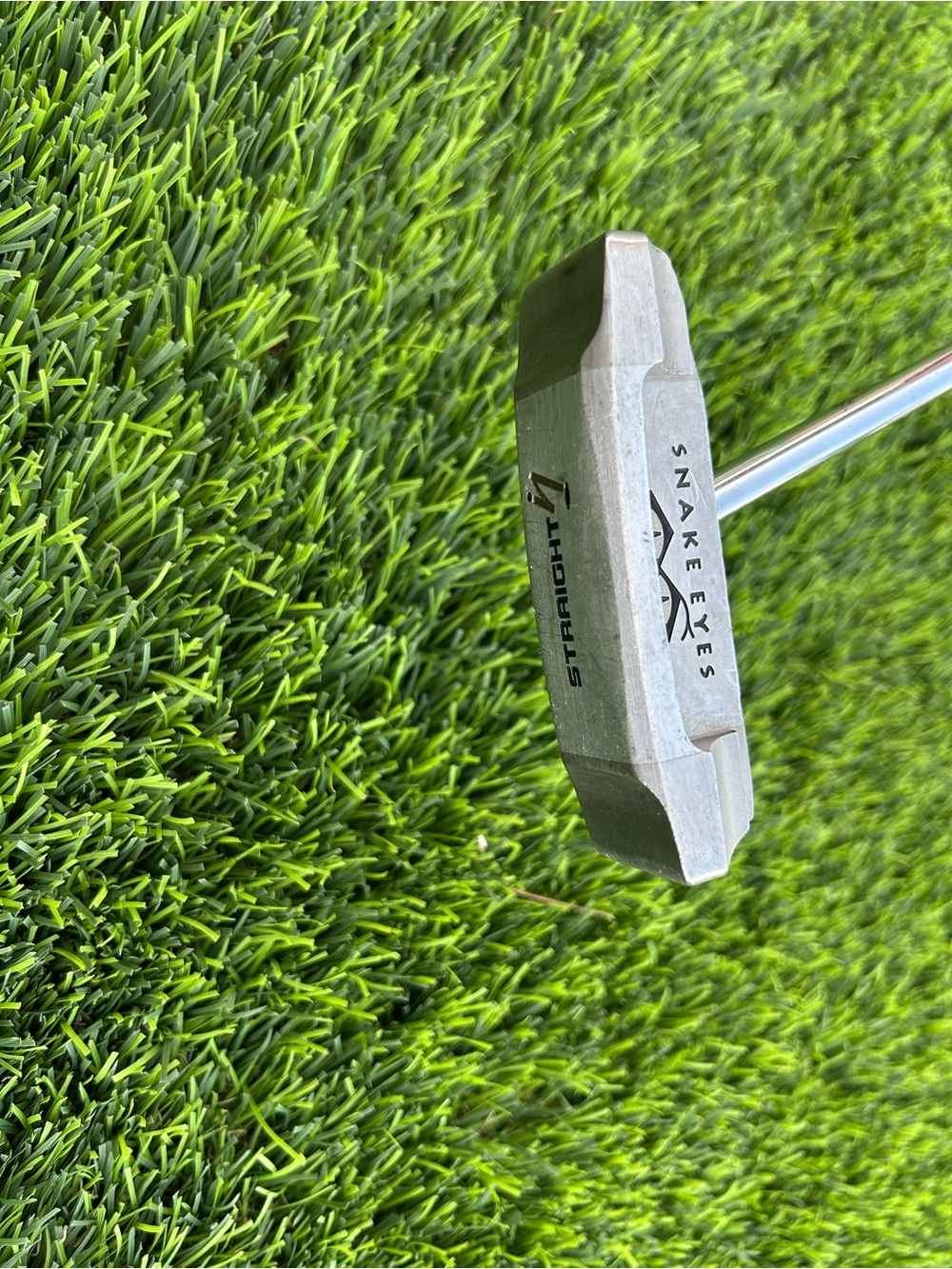 Snake Eyes MCS Blade Putter Right-Hand Steel Shaft Silver